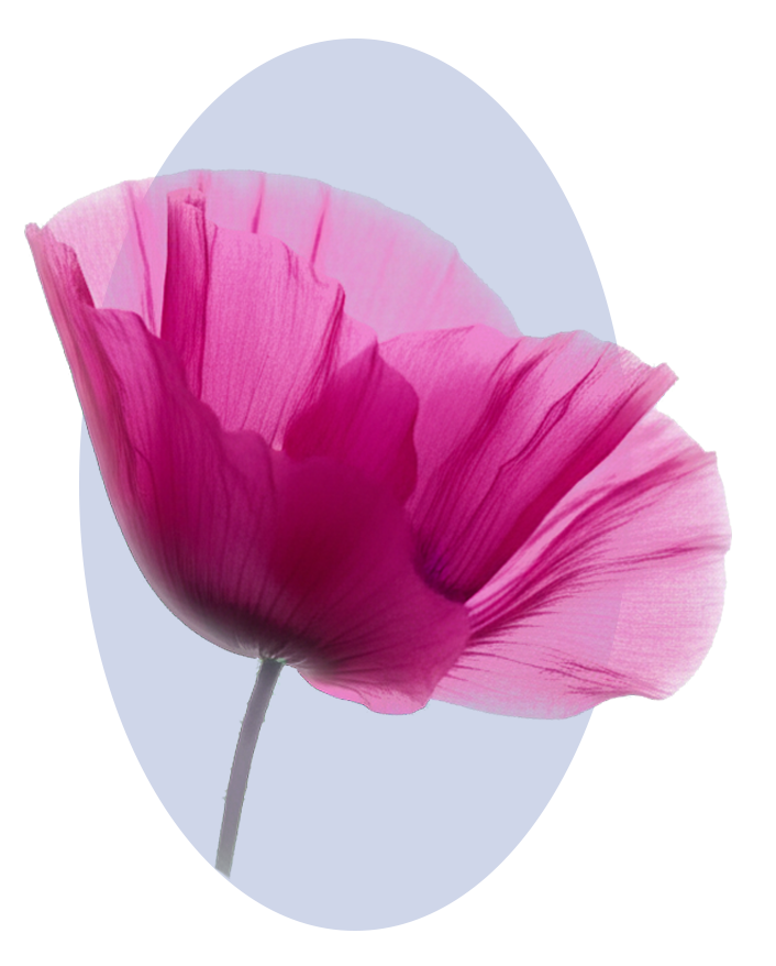 Papavero simbolo della bellezza naturale e consapevole Cosmetu.
